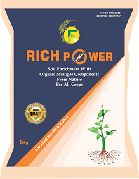 रिच पावर